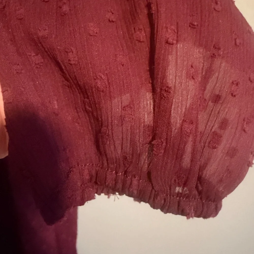 Abercrombie & Fitch Maroon Swiss Dot Sheer sleeve embroidered short dress PS